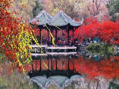 -棠湖公园