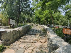 -阳台山自然风景区