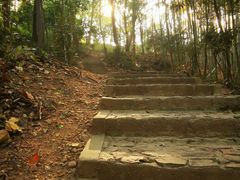 -上海佘山国家森林公园天马山园