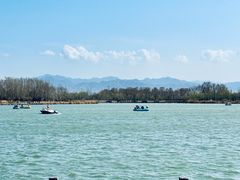 -野鸭湖国家湿地公园