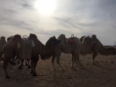 -黄沙古渡原生态旅游区