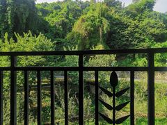 -广州市干部健康管理中心