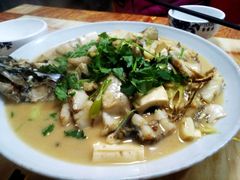 -煲来饱去冷水鱼