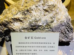 -陕西自然博物馆