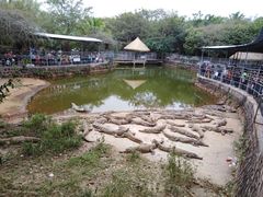 -广东茂名森林公园