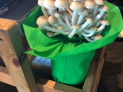 -三人行骨头王火锅(长寿店)