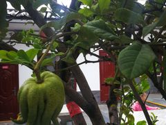 -瑞丰园庭院餐厅·白族传统家常菜