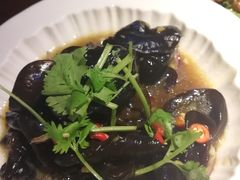 -田婆婆的菜(海口友谊阳光城店)