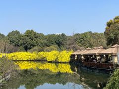 -成都南湖公园