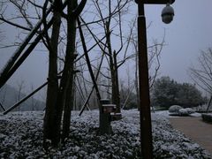 -逸廊大堂吧-下午茶·简餐-千岛湖自由洲际殿