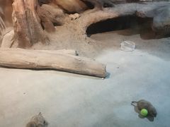 -苏州海洋馆