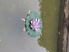 -咸宁万豪温泉谷度假区