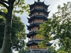 -红梅公园