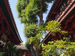 -叩齿古寺