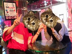 -百威KTV(恒福路店)