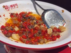 -辣可可·小炒黄牛肉(望京凯德MALL店)