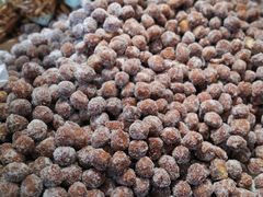 -杨老大焙子月饼干货(宽巷子民族美食街店)