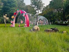 -映月湖公园