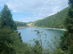 -武陵山森林公园