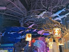 -烟台海昌鲸鲨海洋公园