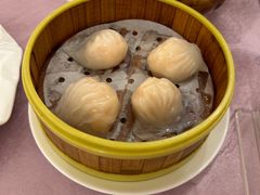 -宝燕壹号(徐汇店)