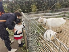 -小鱼草莓采摘园农家乐·小鱼餐厅