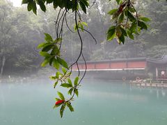 -灵栖洞天