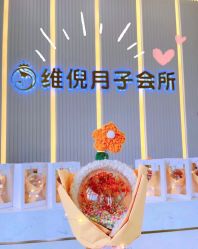 -维倪月子会所(独栋庭院·南海店)