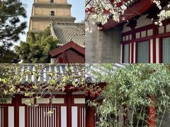 -大慈恩寺(大雁塔)