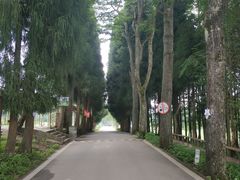 -武陵山森林公园