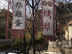 -古北烤梨