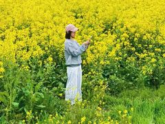 -营地公园·团建拓展·亲子户外(奉贤店)