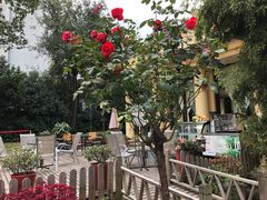 -老洋房花园饭店(绍兴路店)