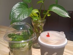 -WOW coffee