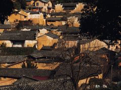 -杨家堂村