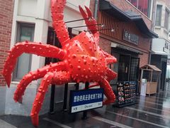 -恒生万鹂广场(唐镇店)