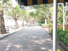 -大湾区中央湿地公园