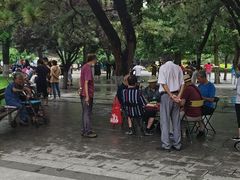 -古城公园