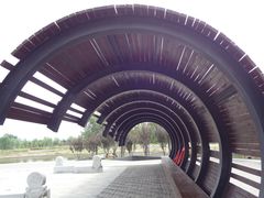 DSC08394-永定河休闲森林公园