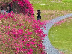-华侨公园