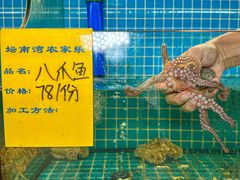 -坛南湾农家乐·海鲜楼·大排档(平潭坛南湾店)