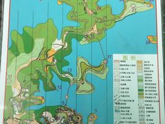 -广州市流溪河国家森林公园