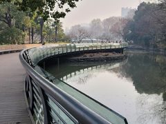 -红梅公园