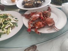 -兴旺渔家
