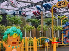 -南宫五洲植物乐园