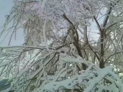 -八达岭滑雪场