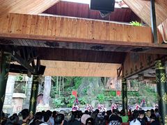 -海南槟榔谷黎苗文化旅游区
