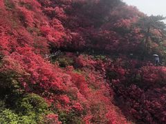 -木兰云雾山