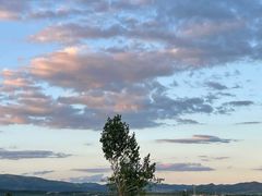 -敕勒川草原文化旅游区