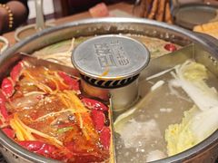 -巴奴毛肚火锅(龙湖锦艺城店)